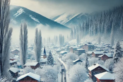 Snowfall in Kashmir: Paradise Turns Into a Winter Wonderland